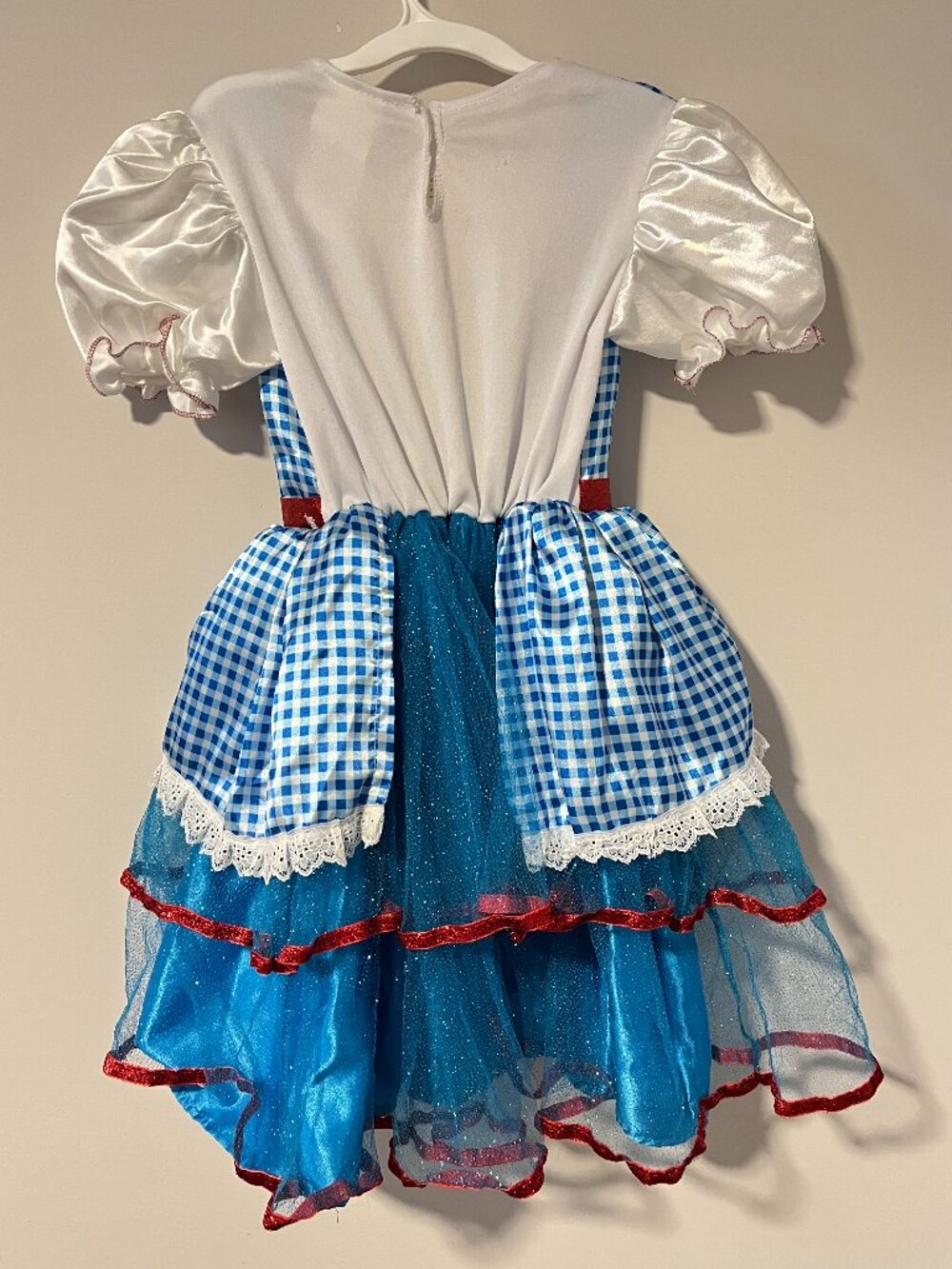 Rubies Wizard of Oz Dorothy Halloween Costume Sm Gingham Tulle Glitter Poppies - Picture 2 of 9
